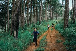 BIB: 
                            <button type="button" onclick="openModal(25740629)" class="btn btn-primary btn-sm float-right btn-popup" data-toggle="modal" data-target=".modal-high-quality">
                        <i class="fas fa-shopping-cart"></i> Add to Cart
                    </button>
                                            <button type="button" onclick="isThisMe(25740629, true)" class="btn btn-success btn-sm float-right btn-popup btn-isme hidden" data-toggle="tooltip" data-placement="bottom" title="นี่คือรูปของคุณใช่ไหม คลิกที่นี่เพื่อเอาเข้าอัลบั้ม">
                        <i class="fas fa-plus"></i> Add to album
                    </button>
                    <button type="button" onclick="isThisMe(25740629, false)" class="btn btn-warning btn-sm float-right btn-popup btn-isnotme hidden">
                        <i class="fas fa-ban"></i> Remove from album
                    </button>